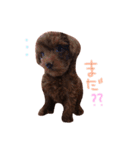 びん（個別スタンプ：3）