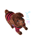 びん（個別スタンプ：6）