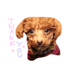 びん（個別スタンプ：8）