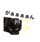 黒猫のネオ（個別スタンプ：29）
