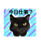 黒猫のネオ（個別スタンプ：30）