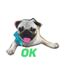 dogs chill（個別スタンプ：4）