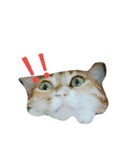 cute of two cats（個別スタンプ：7）