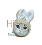 cute of two cats（個別スタンプ：14）