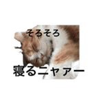 いっさとさくり（個別スタンプ：24）