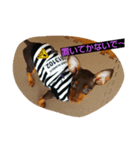 dog*（個別スタンプ：1）