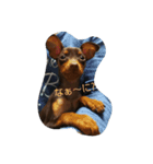 dog*（個別スタンプ：2）