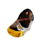 dog*（個別スタンプ：4）