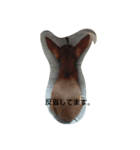 dog*（個別スタンプ：8）