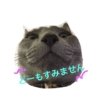 ナナコと愉快な仲間たち（個別スタンプ：7）