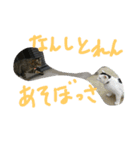 Becky. Juliet ＆ Shiro 2（個別スタンプ：6）