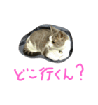 Becky. Juliet ＆ Shiro 2（個別スタンプ：15）