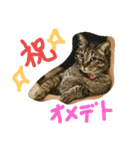 Becky. Juliet ＆ Shiro 2（個別スタンプ：24）