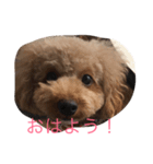 我が家の可愛い娘（個別スタンプ：1）