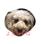 我が家の可愛い娘（個別スタンプ：2）