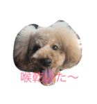 我が家の可愛い娘（個別スタンプ：4）