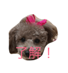 我が家の可愛い娘（個別スタンプ：5）