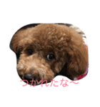 我が家の可愛い娘（個別スタンプ：6）