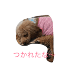 我が家の可愛い娘（個別スタンプ：8）