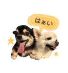 りんとねねとちょこ（個別スタンプ：4）