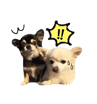 りんとねねとちょこ（個別スタンプ：7）