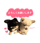 りんとねねとちょこ（個別スタンプ：8）