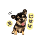 りんとねねとちょこ（個別スタンプ：14）