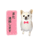 りんとねねとちょこ（個別スタンプ：21）