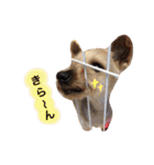 りんとねねとちょこ（個別スタンプ：29）