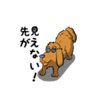 俺犬ゲン（個別スタンプ：19）