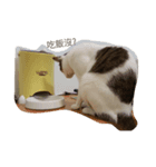meow meow uu（個別スタンプ：3）