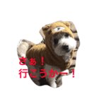 uchinotake（個別スタンプ：1）