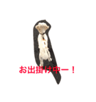 uchinotake（個別スタンプ：2）