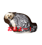uchinotake（個別スタンプ：5）