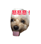 uchinotake（個別スタンプ：7）