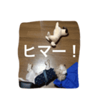 uchinotake（個別スタンプ：8）