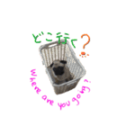 pug（パグ）の生活。（個別スタンプ：14）