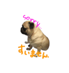 pug（パグ）の生活。（個別スタンプ：22）