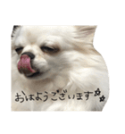 ウチノコ世界一（個別スタンプ：3）