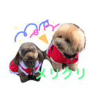 まんまるぽん太と妹のんとお友達（個別スタンプ：1）