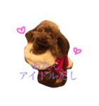 まんまるぽん太と妹のんとお友達（個別スタンプ：2）
