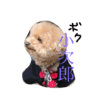 まんまるぽん太と妹のんとお友達（個別スタンプ：3）