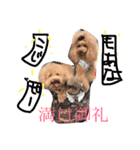 まんまるぽん太と妹のんとお友達（個別スタンプ：6）