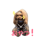 まんまるぽん太と妹のんとお友達（個別スタンプ：10）