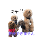 まんまるぽん太と妹のんとお友達（個別スタンプ：15）
