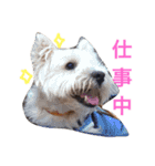 まんまるぽん太と妹のんとお友達（個別スタンプ：16）