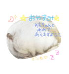 れもちゃんず2（個別スタンプ：2）