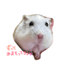 れもちゃんず2（個別スタンプ：4）