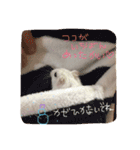 れもちゃんず2（個別スタンプ：7）