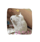 れもちゃんず2（個別スタンプ：8）